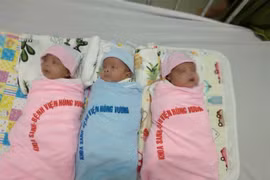 Vietnam sees increasing survival rate of premature infants