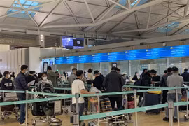 Nearly 450 Vietnamese citizens flown home from RoK