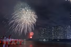 HCM City: Lunar New Year’s Eve fireworks to be set off at 7 venues