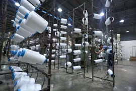 Experts: EVFTA looks towards sustainable development 