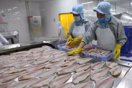Portal helps Mekong Delta firms get insights into EVFTA 