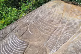 More ancient slabs with engravings of terraced fields found in Yen Bai