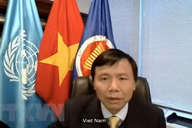 Vietnam, Indonesia call for dialogues to establish peace in Colombia