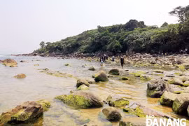 Da Nang: over 1.98 million USD for developing community tourism 