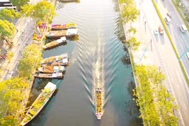HCM City to develop public cultural spaces