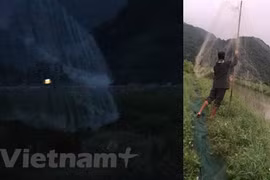 Wild bird hunting and poaching rampant on Cat Ba Island