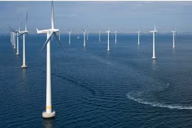 German wind power developer eyes offshore project in Binh Dinh 