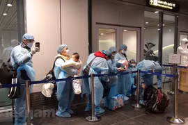 Vietnamese overseas advised to stay calm amid COVID-19