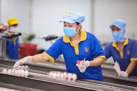 Improving business climate critical to post-pandemic growth