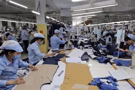 Garment sector urged to embrace digital transformation