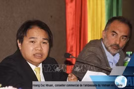 Ample room for Vietnamese firms to operate in French-speaking African countries 