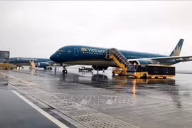 More citizens flown home from Europe, America, Africa