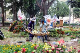 HCM City gets busy with flower festivals, markets ahead of Tet 