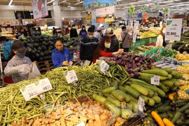 HCM City’s CPI up 0.65 percent in October