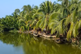 Japan helps Ben Tre to establish climate-resilient agricultural value chain