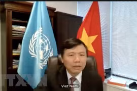 Vietnam joins UNSC open debate on peace operation, human rights