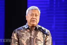 Indonesian ambassador receives Friendship Order 