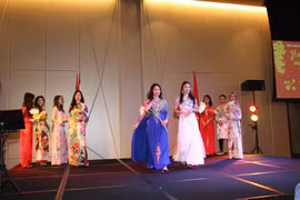 Overseas Vietnamese gather for Tet celebration