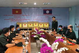Vietnam send experts to help Laos fight COVID-19