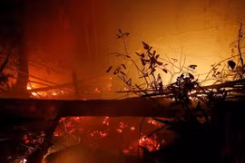 Indonesian province declares state of emergency over forest fires