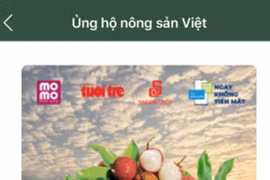 Record lychees sold via MoMo e-wallet 