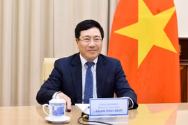 Diplomatic efforts affirm Vietnam’s position in international arena amid COVID-19
