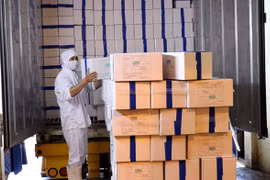 Vietnam boosts agricultural product exports to EU 