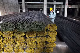 Hoa Phat’s steel sales hit over 4 million tonnes in 10 months