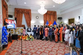 Overseas Vietnamese celebrate traditional New Year 