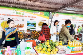 Yen Bai's agricultural and aquatic products introduced in Hanoi