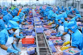 Vietnamese seafood exporters not too worried about COVID-19