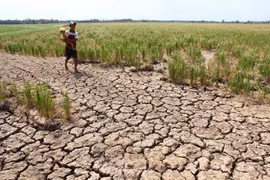 Central region at high risk of drought: official 