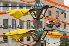 EVN works to ensure enough electricity during dry months 