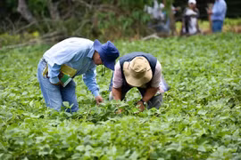 Seminar talks facilitating green growth 
