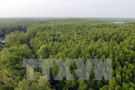 VN’s national forest stewardship standard effective from May