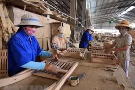 Wood and forestry exports plunge in second quarter 