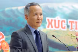 Vietnam, RoK discuss ways to reach 100 billion USD in bilateral trade