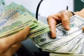 Reference exchange rate up 2 VND