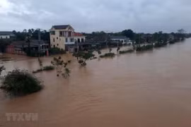 UK donates 500,000 GBP to support flood victims in central region