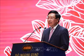 Diplomatic sector goes along with nation’s destiny