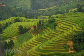 Five Vietnamese places among world’s 20 best backpacking destinations 