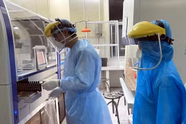 COVID-19 cases in Vietnam amounts to 99