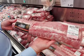 Nearly 1,500 tonnes of pork from Russia arrive in Vietnam