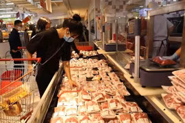 Reforms of import inspections introduced