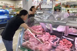HCM City, provinces work together to ensure supply of goods at stable prices