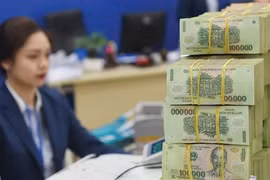 Stronger money policies might be considered to aid economic growth: SBV