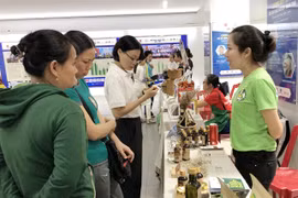 HCM City a fertile land for start-ups