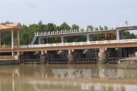 Mekong Delta adapts to drought, saltwater intrusion
