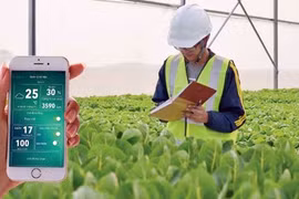 Vietnam promoting hi-tech farming