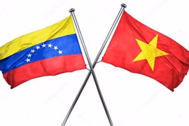 Vietnam, Venezuela hold eighth deputy ministerial-level political consultation 